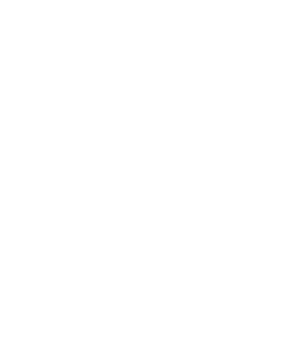 Primoria Logo